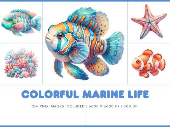 Dive into Creativity: Colorful Marine Life Animals PNG Images