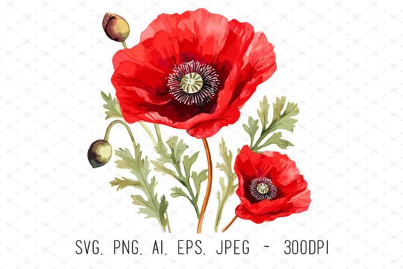 Red Poppies Sublimation Clipart: A Designer's Guide to Vibrant Floral Assets